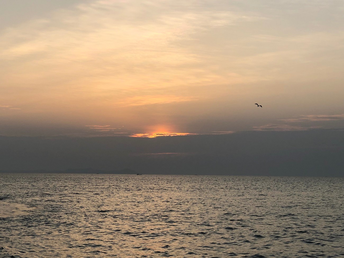 苏景怡+当落日的余晖映红了海面，听着海鸟的低鸣，这一刻，我们摒弃了尘世的浮华与嚣喧，只剩下天空与大海相守相望 压缩.jpg